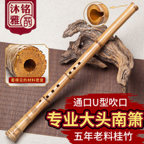 Gui Zhunan Xiao Big head Xiao Professional performance 8-hole beginner Shakuhachi 1-section hole Xiao flute 6-hole GF-tuned bamboo root Xiao instrument