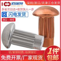  m2m2 5m3m4 copper plate rivets knurled aluminum rivets Spiral rivets twill nameplate rivets