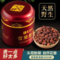 (High quality)Xinjiang authentic wild Kunlun snow Chrysanthemum fetal Chrysanthemum King high altitude ice Tianshan blood Chrysanthemum health tea