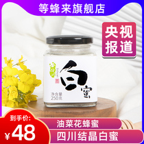 Waiting for bees to Sichuan white honey farmers to produce rape flowers honey Crystal Snow honey bottles of original honey rape honey 250g