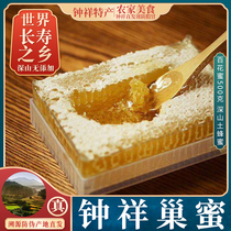 Baihua soil honeycomb honey 500g farmhouse self-produced Chew and boiled water the hometown of longevity Zhong Xiang specialty