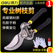 省力园艺花剪花艺修剪树枝园林粗枝果树剪刀修枝剪枝大力剪子工具