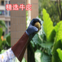 4 10 left-handed chestnut gloves picking prickly ash-resistant chestnut rose cowhide anti-tie labor protection gloves
