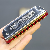 Germany Hohner and Les Golden Melody gm Ten 10 Hole Blues Harmonica Beginner Adult Child