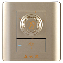 Forest wind ceiling fan light speed control switch fan light fan chandelier with speed switch square champagne color wall control