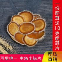 Jilin sika deer antler semi-cured tablets 10 grams dry tablets authentic Changbai Mountain male wax slices soaked in water to make wine Tea
