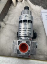 Gas slow open solenoid valve HK15 -2LHK20-2LHK25-2L