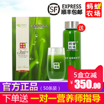 (Official) ant farm barley Ruo leaf green juice probiotics clear juice flagship store (5 boxes minus 350)