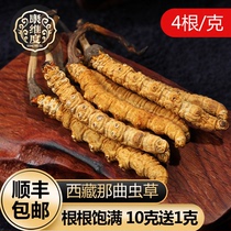 Tibet Cordyceps sinensis Tibet Nagqu Dongworm sinensis fresh dried Cordyceps 4 grams Shunfeng