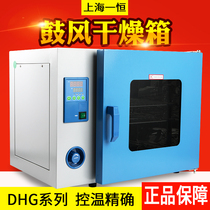 Shanghai Yiheng DHG-9030A 9070A laboratory industrial electric heating constant temperature blast drying oven oven
