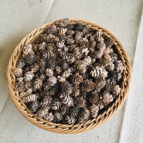 Natural pine pagoda beautiful decorative pine cone small mini pine cone hair bulk Christmas Pine Cone photo props