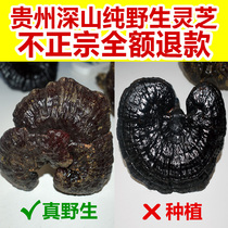 Guizhou pure wild purple Ganoderma lucidum premium dry whole flower natural whole branch Nyingchi 1kg can be sliced Non-Changbai Mountain