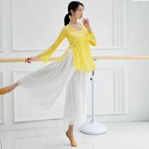 Classical dance clothes elegant practice clothes rhyme net gauze trumpet sleeves Chinese style performance clothes Dance body art Test clothes