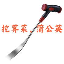  Dig shepherds purse dig dandelion shovel