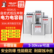 Delixi self-healing low voltage shunt power capacitor BSMJS0 45 withstand voltage 450V reactive power compensation three-phase