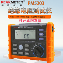 Huayi MS5203 digital insulation resistance tester Insulation meter Megohm meter 50-1000 volts digital display