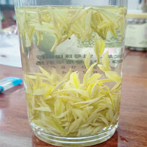 Anji Golden Bud Tea Milk White Tea Extremely White Tea 2021 New Tea 500 Keming Pre-Premium Green Tea Gift Boxes