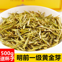 Golden Bud Tea 2021 New Tea Mingmei Anji White Tea Golden Leaf Green Tea Gift Box Canned 500g