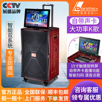 Dan Mark Shi square dance audio with display screen Outdoor KTV all-in-one machine High-power K song subwoofer