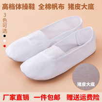 Adult children canvas soft-soled gymnastics shoes Dance shoes Ballet shoes Fitness shoes Yoga body practice shoes