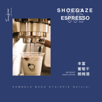 (Terraform) Cream Raisin flavor Single-origin Ethiopian Italian Coffee Bean SOE 1kg