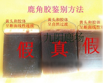 Antler rubber loose tablets free powder deer farm Jilin sika deer 500 grams turtle shell glue no rice wine