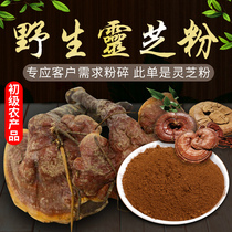 Authentic Ganoderma Lucidum Powder 250g Wild Ganoderma Lucidum Powder Buy 3 get 1 free Anhui specialty Red Zhi Red Ganoderma lucidum Nyingchi powder