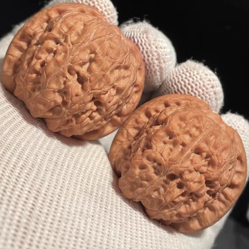 血麒麟核桃-血麒麟核桃促销价格、血麒麟核桃品牌- 淘宝