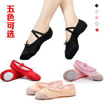 Adult childrens dance shoes Womens soft-soled dance shoes Mens and womens childrens practice shoes Grading ballet shoes Body cat claw shoes