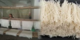 Аутентичный Guizhou Tu Специальная закуска рисовая лапша Душан Божественные Цветочные Фермеры Ручной ручной работы с чистым рисом.