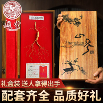 Zhao Yun Northeast Changbai Mountain forest Ginseng Wild Mountain Ginseng gift box raw dried ginseng bubble wine soup ginseng whole branches