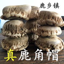  Antler hat powder Sika deer horn hat powder Antler powder Antler hat deer tray pure powdered milk