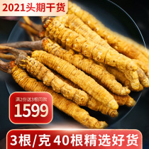 The first period of 2021 Tibet Naqu Cordyceps 3 grams 40 dried Cordyceps gift box 13g