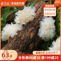 Sichuan wild tremella dry goods basswood snow ear glutinous ear pregnant women section tremella white fungus lotus seed soup