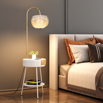 Feather floor lamp bedroom ins girl bedside Nordic living room sofa next to a few light luxury goods vertical table lamp