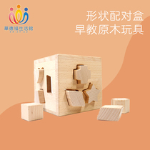 Waldorf Life Hall childrens toys geometric puzzle 0-3 years old baby Beech block shape cognitive matching box