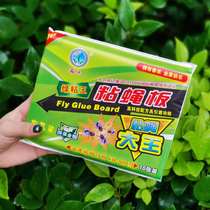 Special price random brand sticky fly paper 100 medium home sticky fly fly paste fly kill fly artifact sticky fly glue board