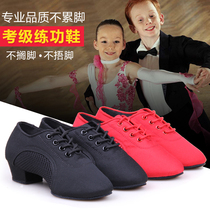 Seven Rainbow professional Latin dance shoes Children girl Middle heel soft bottom boy boy adult dancing shoes girl four seasons