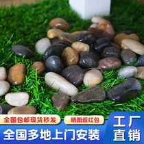 5 Jin pebbles wooden barrel fish stone paving stone garden garden stone fish tank Rain Flower Stone goose warm stone paving floor