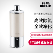 (IF Award)Kohler Kohler Xixin Rain Shower Purifier Shower Filter 72914