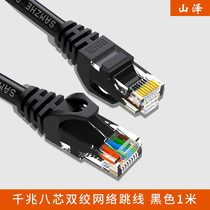 Mountain Zee (SAMZHE) CAH-6010 Six Class CAT6 1000000000000000 8 Core Double Twisted Network Jumper Black 1 m