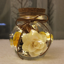 Dried flower bag glass bottle with Cork permanent Flower home furnishings natural pine fruit shooting props Star bottle
