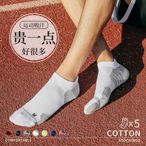 Mens socks socks autumn cotton student marathon running quick-drying towel bottom full 300 minus 30