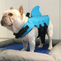 Pet dog bathing suit French bucket life jacket Shark bathing suit Pago Teddy Small and medium-sized dog water play supplies