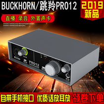 Buckhorn Springbok PRO12 desktop external Notebook sound card set recording K song shouting wheat mobile phone live