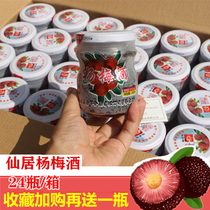 Bayberry wine small bottle Zhejiang Xianju low-degree fruit wine fruit plum wine ladies and mens sweet wine slightly drunk 24 bottles