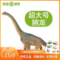 RECUR soft glue simulation animal Brachiosaurus Rex alligator Triceratops super large dinosaur model toy