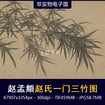 Zhao Meng 𫖯 Zhao's One Door Three Bamboo Picture Volume Yuan Dynasty Pipeline Sheng Zhao Yong Mo Bamboo Chinese Painting Flower and Bird Painting Electronic Picture