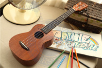 Rainie ukulele ukulele dreamer00 S00 C00 T00 21-23 inch 26 inch