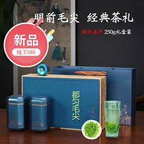 Duyun Maojian tea super tender buds 2021 new tea Guizhou specialty green tea tea gift box